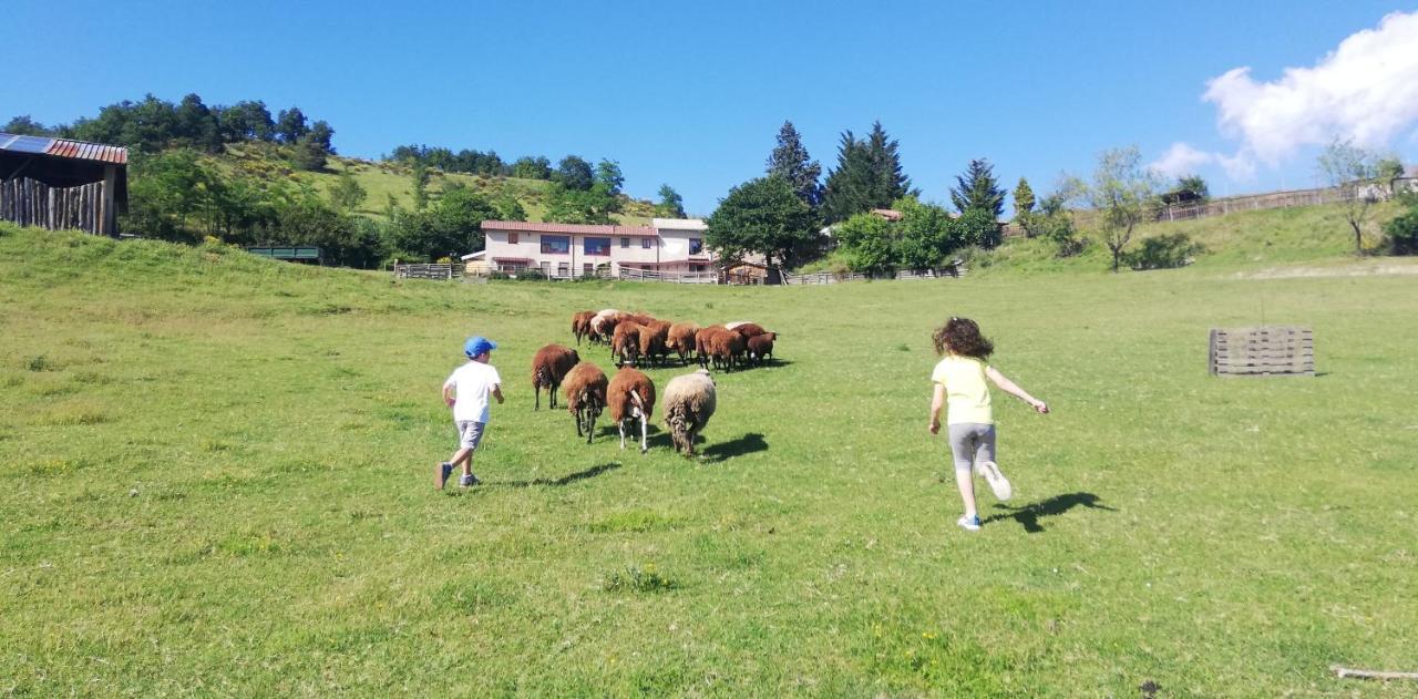 Azienda Agrituristica Cascina La Botta Dego Exterior foto